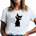 KOT11.jpg