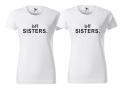 1SIS-00.jpg