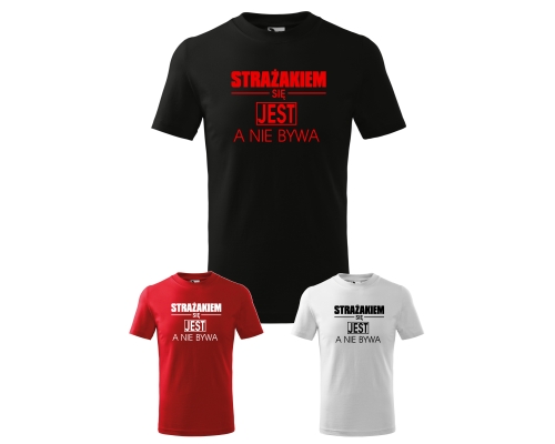 WYBOR KOLOROW STRAZ20.jpg